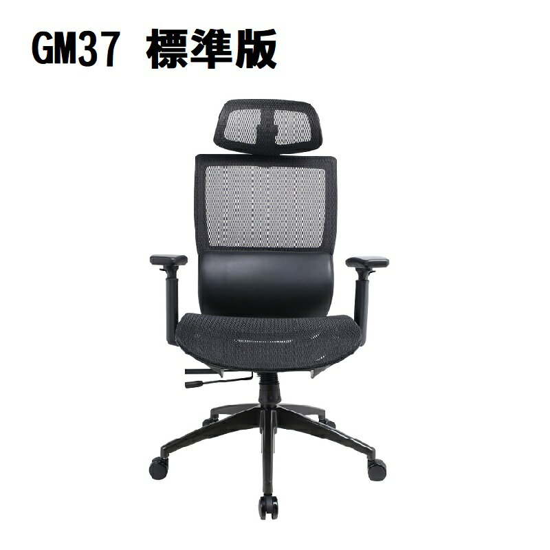 【最高現折268】Power Master 亞碩 GM37 標準版 人體工學網椅 電腦椅 透氣網布 多功能底盤 PU靜音輪