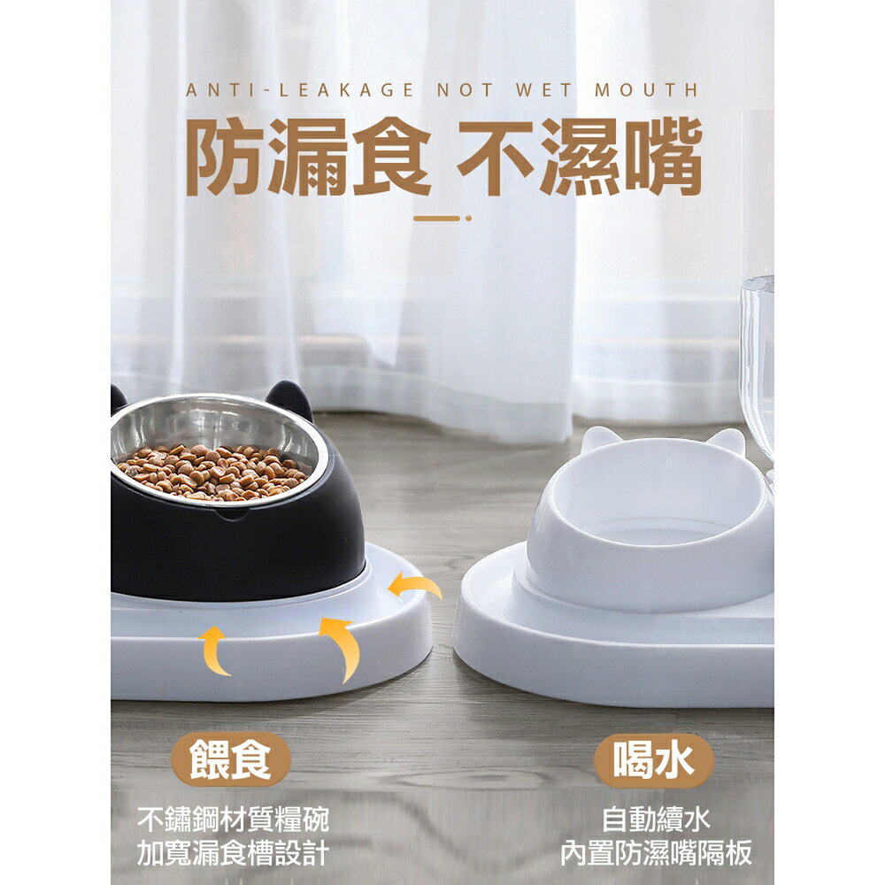 [現貨]寵物碗 寵物餐桌 狗狗碗 狗用品 寵物餵食器 狗碗 貓盆 貓碗 貓咪碗 飼料碗 寵物傾斜餐碗餵食器組 4