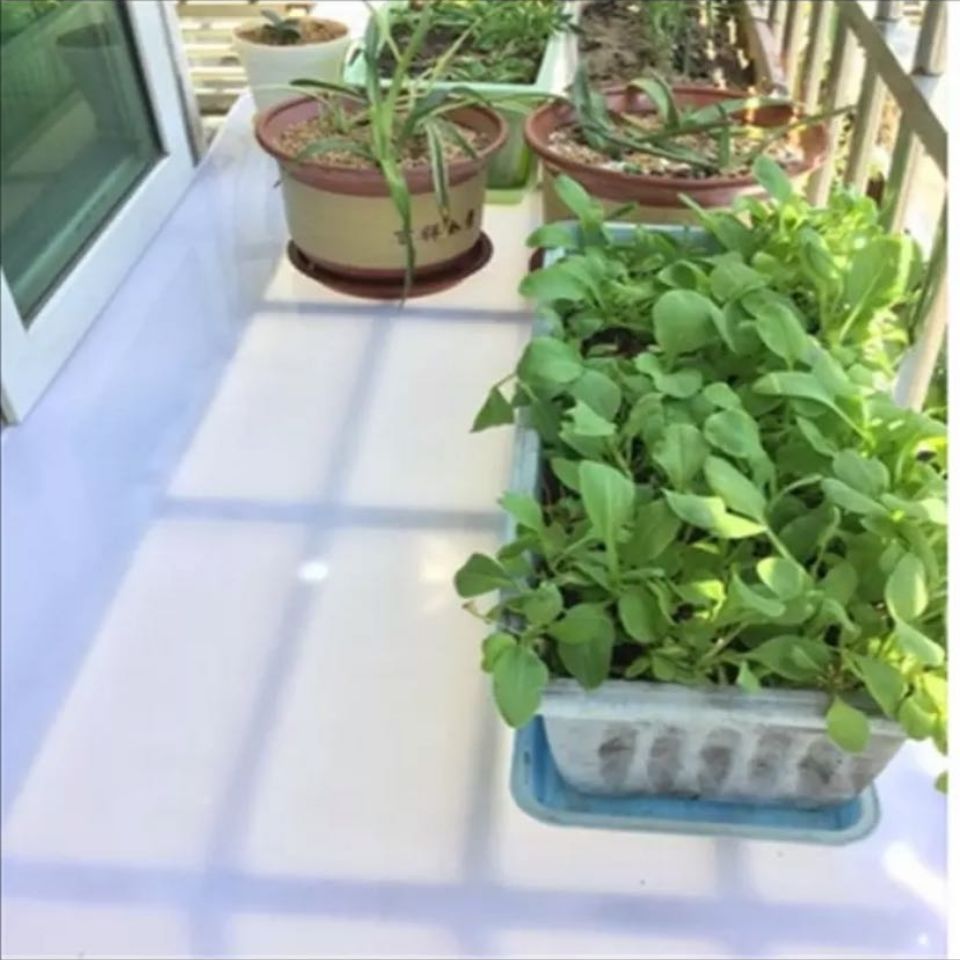 硬塑料板材長方條塑膠板定制白色塑料板pp塑料墊板陽臺窗臺擋板 4