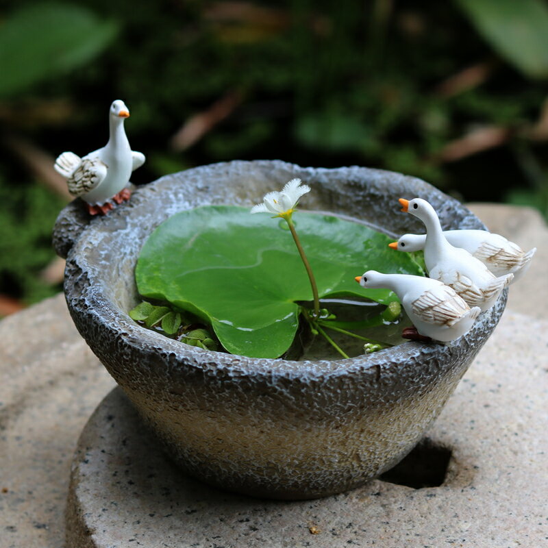 小白鴨子水培花盆一葉蓮銅錢草花器庭院花園裝飾擺件復古仿石臼盆