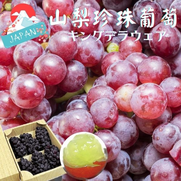 【緁迪水果JDFruit】日本直送-日本山梨珍珠御葡萄 (1kg/2kg) 高階禮盒 端午節送禮推薦l緁迪水果