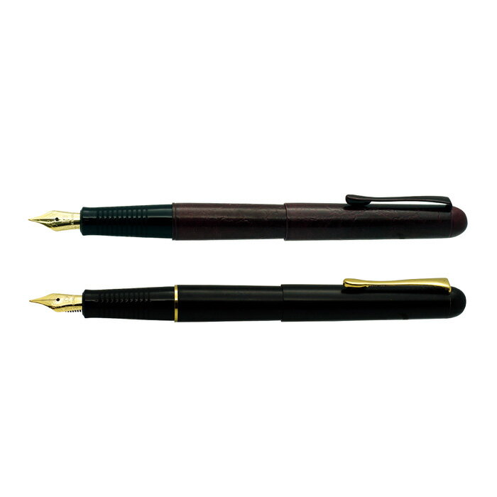 PLATINUM 白金牌 鋼筆2支入對筆 / 組 PB-600/PB-500