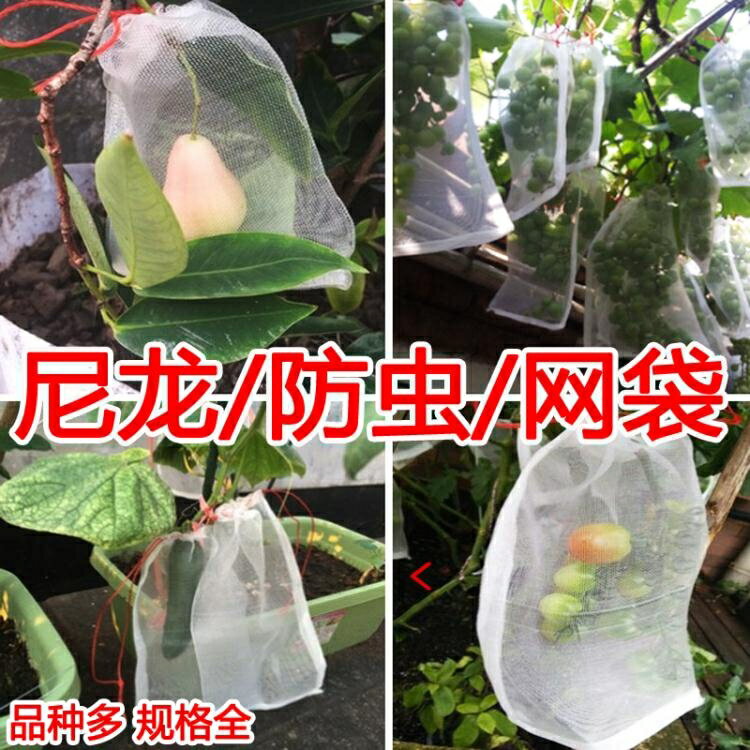 買一送一防鳥網 防蟲網袋瓜果防果蠅防鳥袋濾網浸種袋葡萄果樹水果套袋尼龍網袋 美物居家