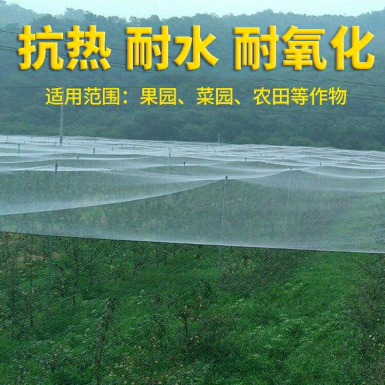 買一送一防鳥網 尼龍防鳥網天網果園果樹網稻谷櫻桃葡萄魚塘防護網水產養殖網包郵 美物居家