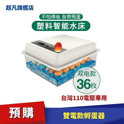 孵化箱 21年8月 Rakuten樂天市場 孵化箱 21年8月 Rakuten樂天市場