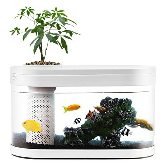 生態魚缸 畫法幾何招財兩棲生態懶人金魚缸免換水造景客廳小型創意水族箱 MKS 卡洛琳