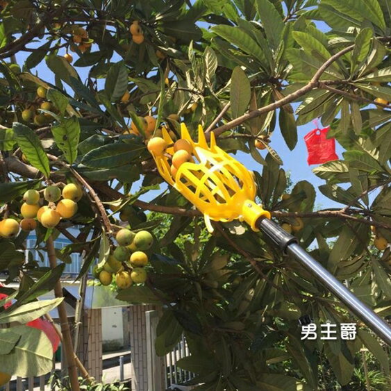摘果器 高空採摘器可伸縮3米桿摘楊梅神器採枇杷櫻桃李子水果工具XW 快速出貨