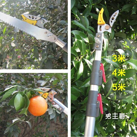 摘果器 高枝剪剪刀摘果剪果樹鋸枇杷剪伸縮樹枝剪多功能摘果神器XW 快速出貨