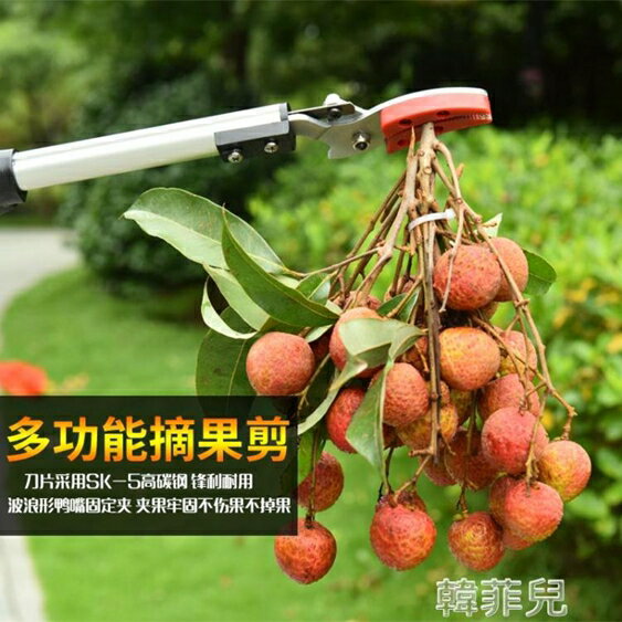 高枝剪 摘果神器高空摘果剪修枝果樹剪刀摘果剪高枝鋸桂圓剪伸縮荔枝龍眼 MKS韓菲兒