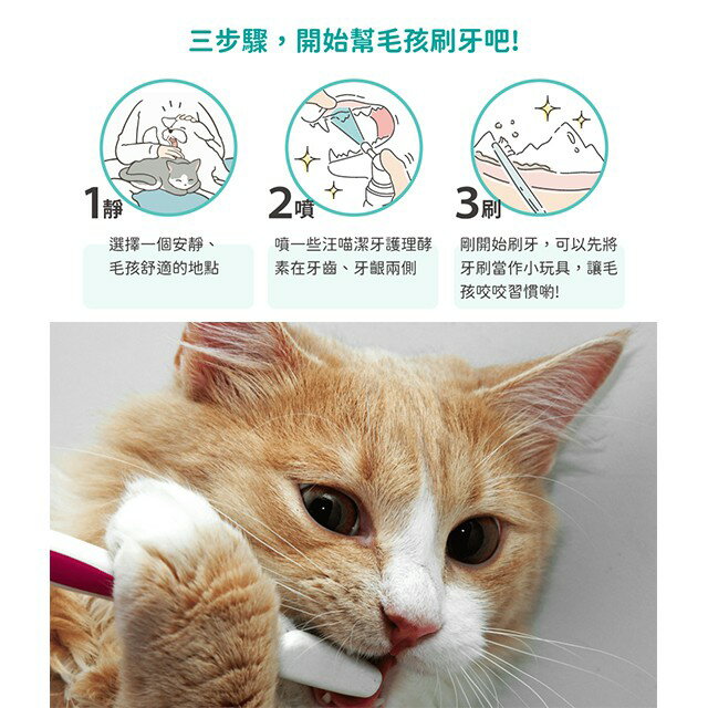 汪喵星球 寵物專用牙刷 軟毛牙刷 犬貓專用牙刷 貓牙刷 犬牙刷 4