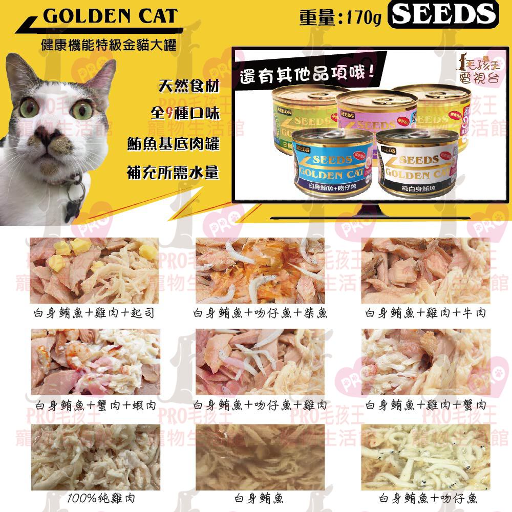 ☆PRO毛孩王☆ SEEDS Golden Cat 健康機能特級金貓大罐 170g 大金 特級金 貓罐 貓罐頭 金貓罐 金罐