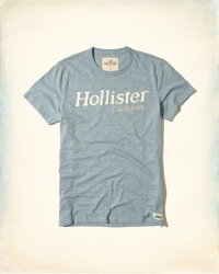 美國百分百【Hollister Co.】T恤 HCO 短袖 T-shirt 海鷗 上衣 logo 深藍色 S號 I219