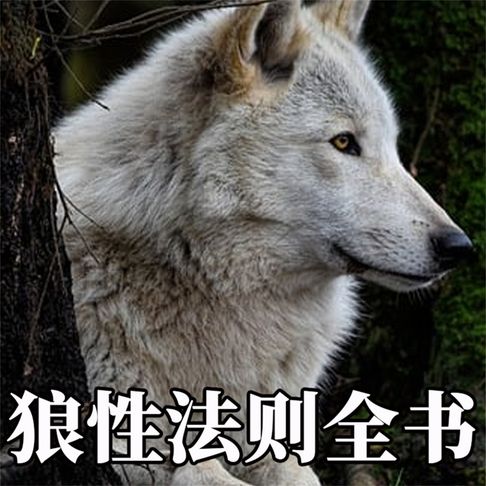 【有聲書】狼性法则全书 0
