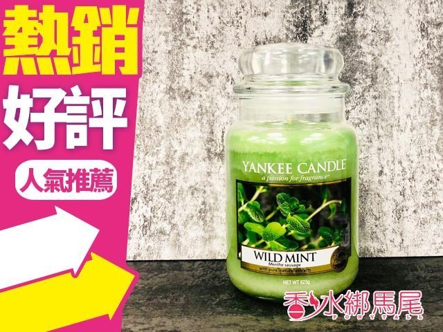 ◐香水綁馬尾◐YANKEE CANDLE 香氛蠟燭 Wild Mint 野生薄荷 623g