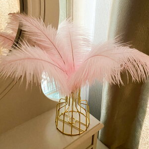 白色北歐粉色羽毛裝飾兔尾草花瓶干花diy材料擺件家居客廳擺設ins