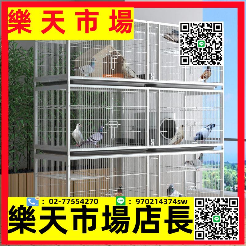 養殖食槽鴿子籠大型養鴿子專用籠三層加密鴿籠專業養殖籠家用種鴿配對籠