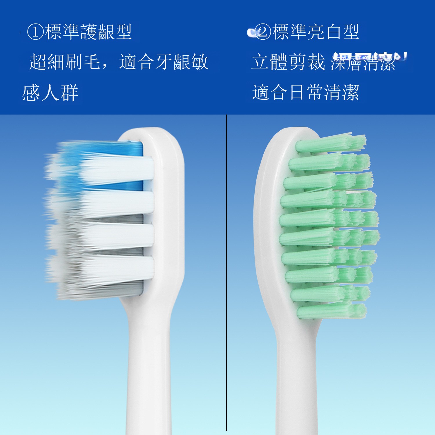 適用於飛利浦電動牙刷頭 小羽刷替換刷頭 HX2421 HX2471 HX2431 HX242W 專業清潔 耐用刷毛 輕便設計 原廠規格 高相容性