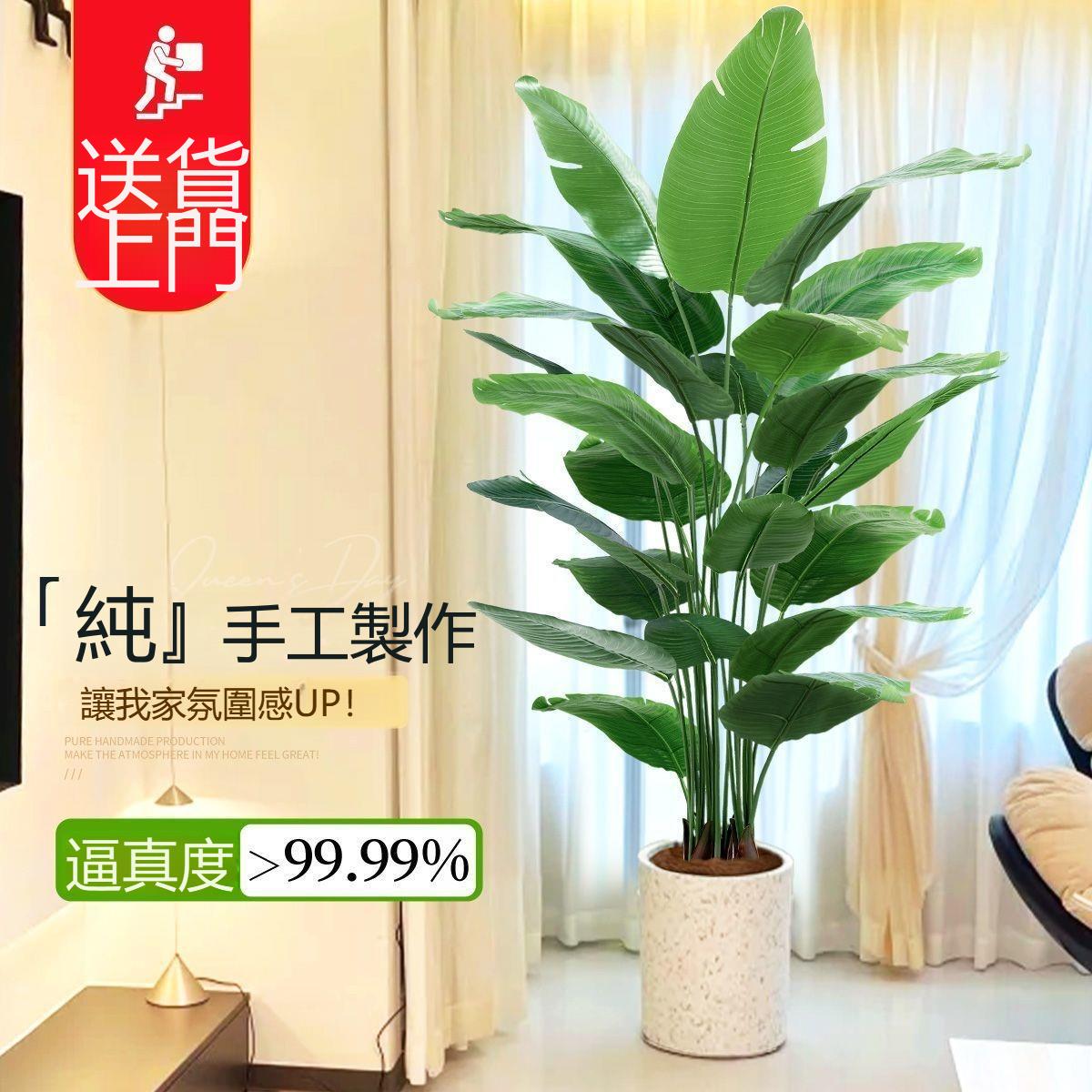 免運 【模擬綠植】可開發票模擬綠植 天堂鳥植 物輕奢室內大型仿生盆栽擺件客廳裝飾落地假花樹工廠直銷 全館折扣 售後保障 店長新品推薦 6s91712工廠直銷 全館折扣 售後保障 店長新品推薦 6s91713