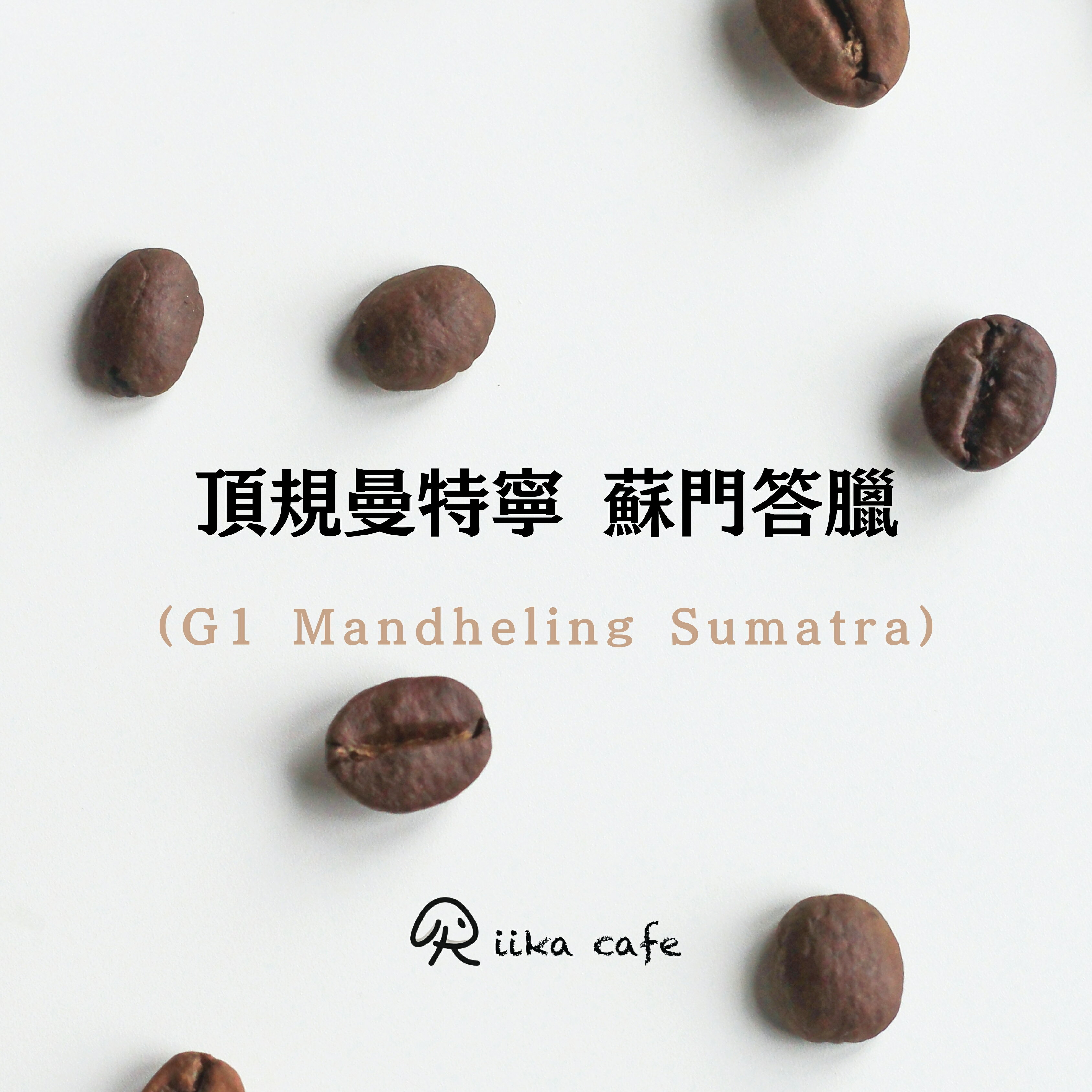 頂規曼特寧 蘇門答臘  中深焙咖啡豆