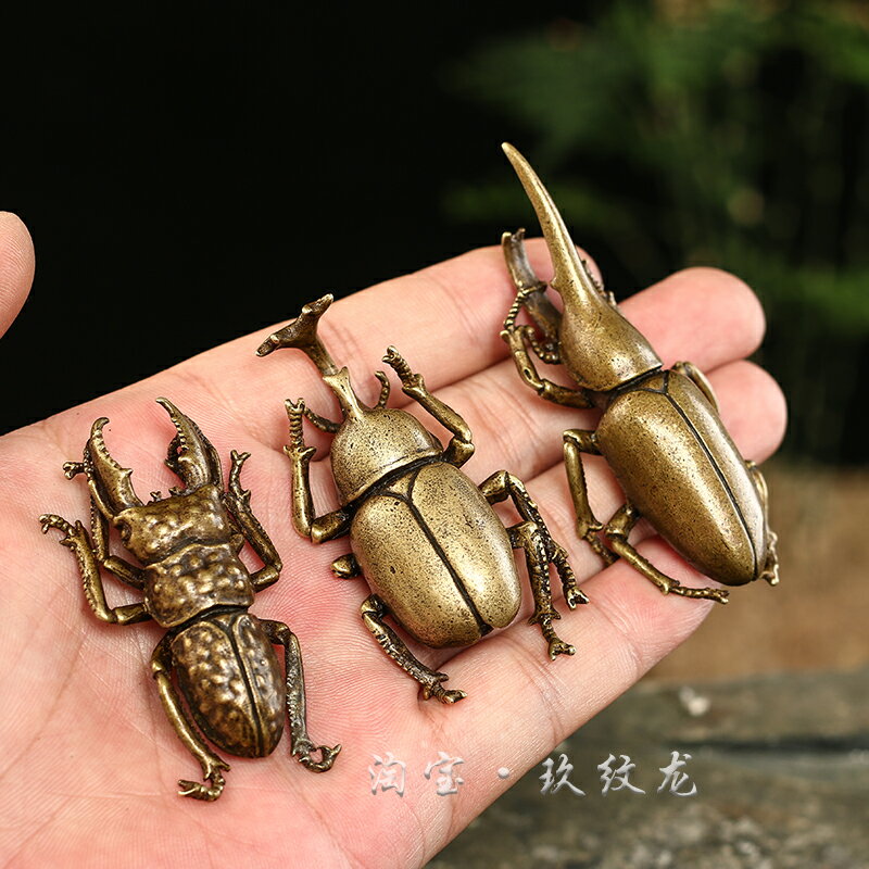 實心銅甲殼蟲擺件銅獨角仙小擺件仿真昆蟲銅雕件銅玩銅把件銅器
