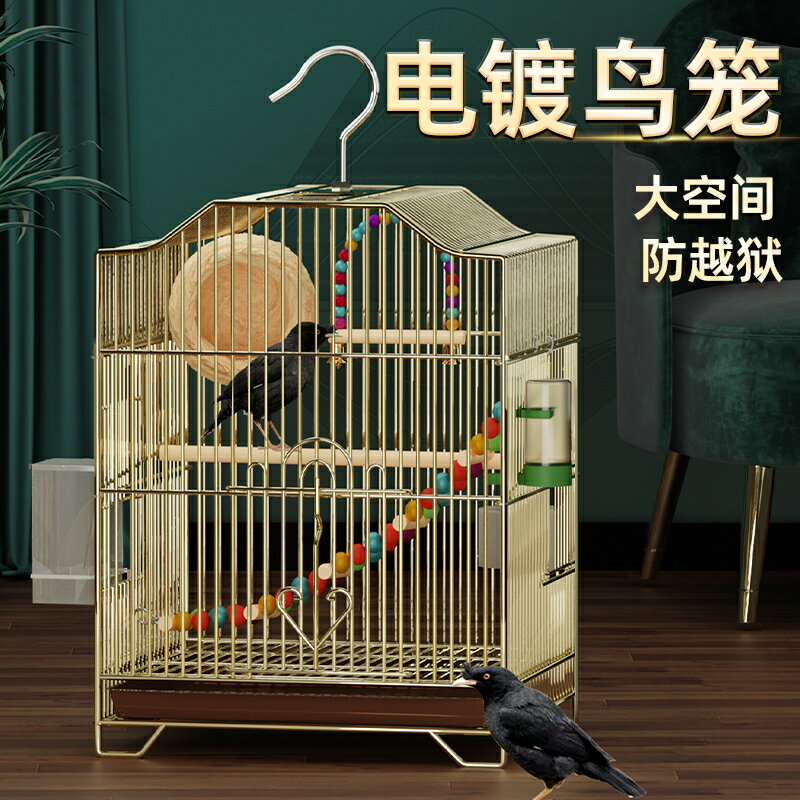 寵物龍子 鳥籠八哥籠子專用鷯哥玄鳳鸚鵡籠子大號家用豪華別墅大型繁殖大全/鳥籠/籠子/養殖籠