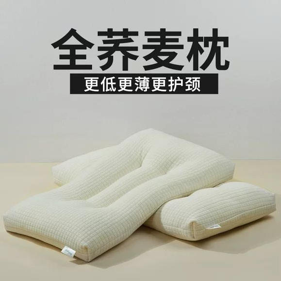 全蕎麥枕頭枕芯低枕護頸椎助睡眠純蕎麥枕殼皮男士家用兒童護頸硬
