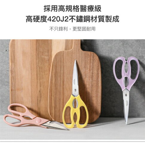 Locknlock樂扣樂扣 超省力萬用剪刀(淡紫/黃) 420J2不鏽鋼 料理剪 開瓶 破殼 料理用具 剪刀【愛買】 | 愛買線上購物直營店 ...