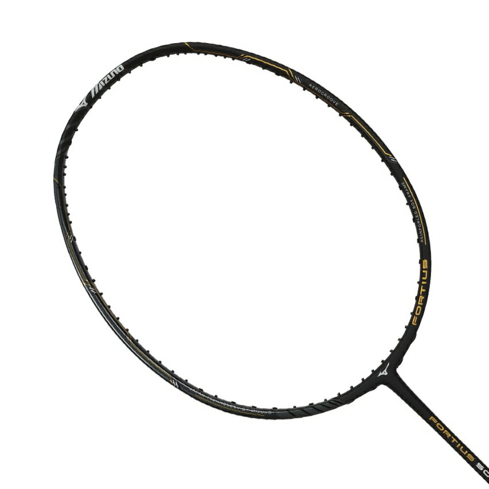 MIZUNO FORTIUS 50 SPIRIT 羽球拍(免運 空拍 含拍袋「73MTB15001」≡排汗專家≡ 2