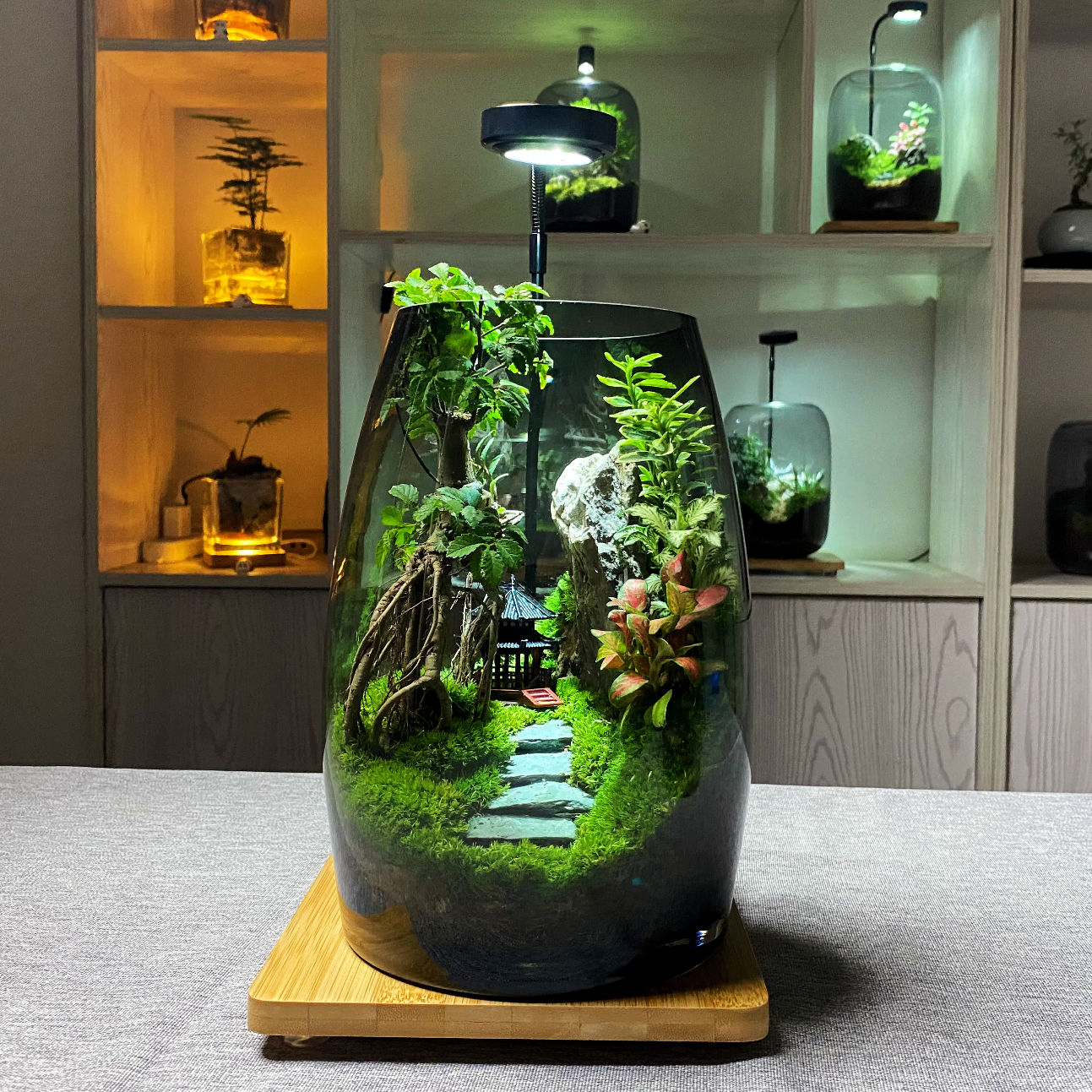 公司貨開立發票 萬重山創意桌面苔蘚植物景觀辦公室盆景好養綠植生態造景盆栽擺件 快速出貨