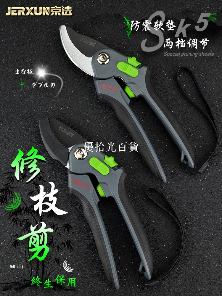 京選修枝剪花剪園藝剪刀剪枝家用修剪樹枝摘菜果樹枝剪花藝花枝剪[領邦五金配件]