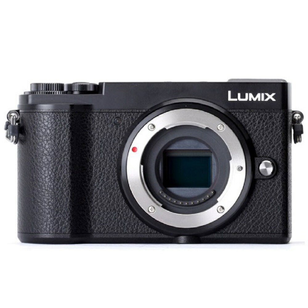 Panasonic GX9 body 單機 台松公司貨