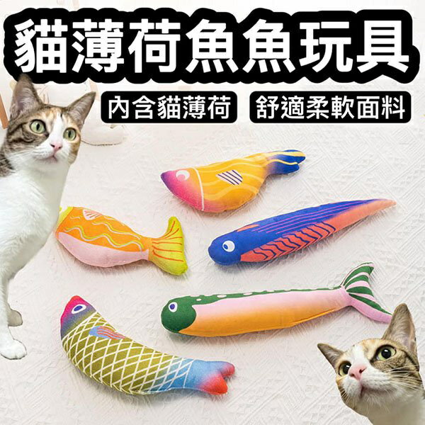 『臺灣x現貨秒出』超繽紛魚魚內含貓薄荷貓咪玩具 寵物玩具 貓玩具 貓貓玩具 貓薄荷玩具