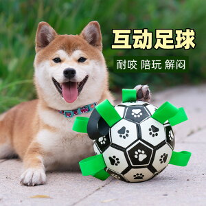 寵物玩具球足球耐咬泰迪柯基柴犬狗狗磨牙用品互動彈力球解悶神器