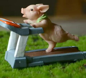 創意可愛小豬擺件動物運動健身系列公仔手辦送男女生日禮物情人節
