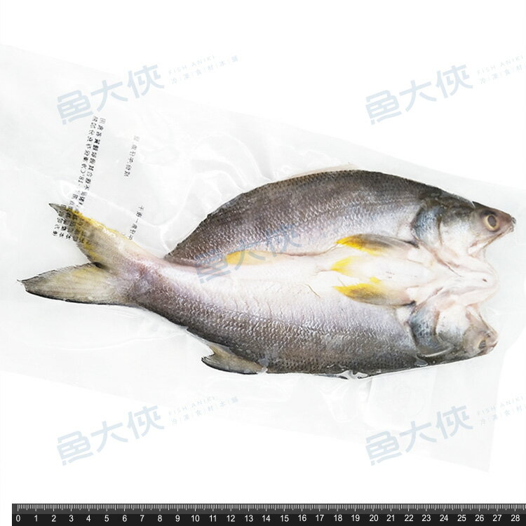 午仔魚一夜干(約200g/尾)-1C6A【魚大俠】FH219