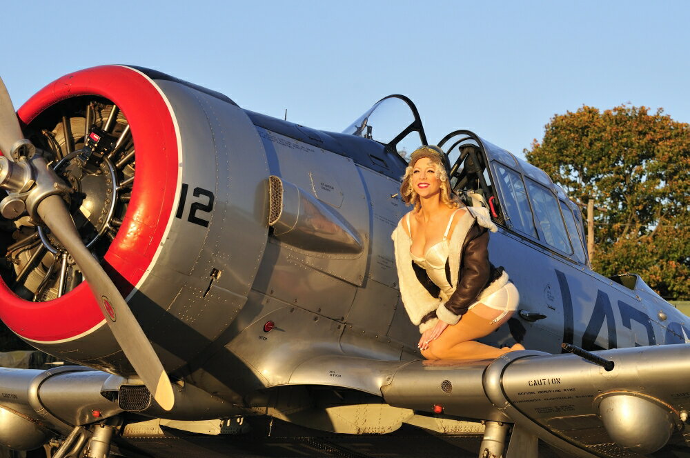 Posterazzi: 1940s style aviator pin-up girl posing with a vintage T-6 ...