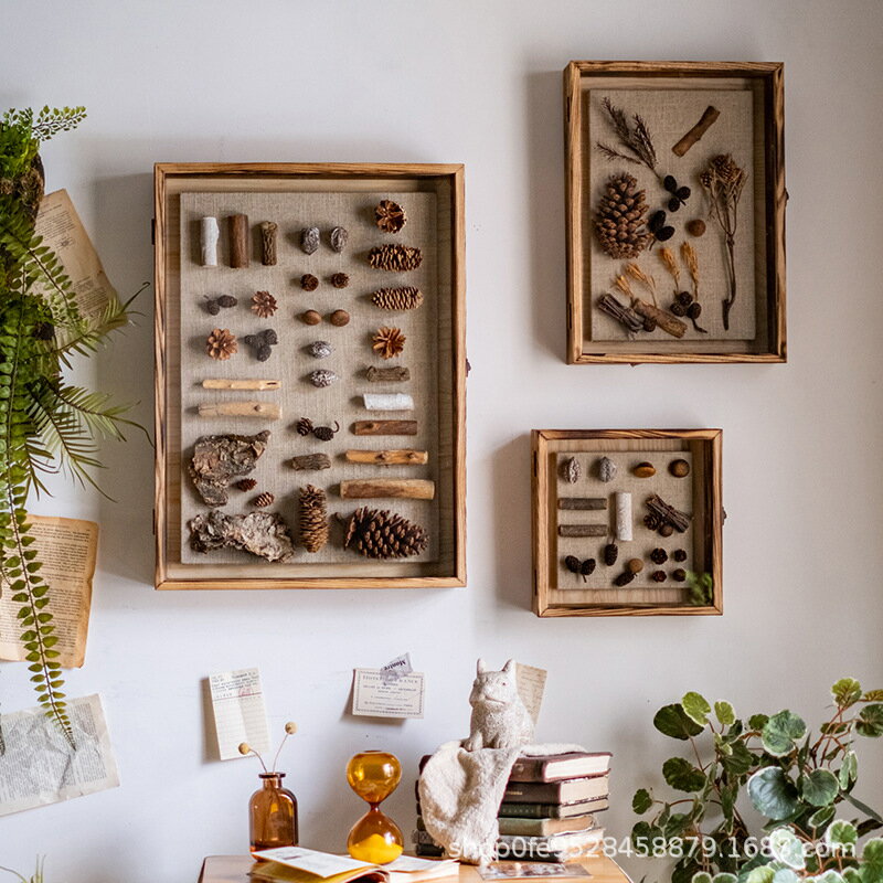 實木標本相框立體植物干花昆蟲貝殼展示畫框diy墻面裝飾壁掛復古