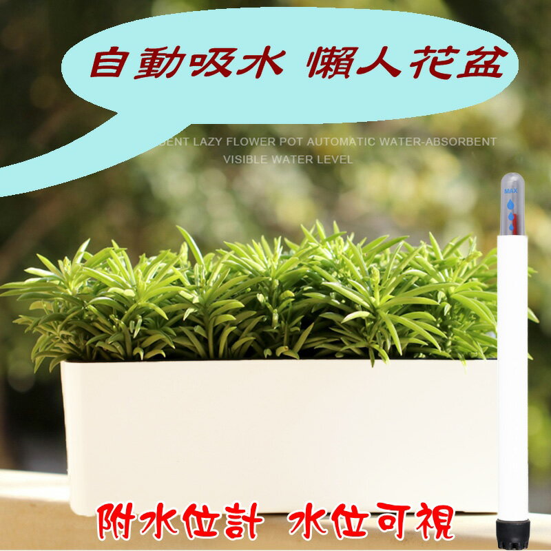 【珍愛頌】N136 可視水位 長方形懶人花盆 附水位計 多肉花盆 種菜盆 草莓 蘭花 自動吸水 自動澆水 自動灌溉花盆