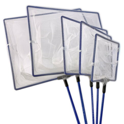 8吋撈魚網金魚網撈網 方型 一支入 促70 M 4605 撈蝦網抓蝦漁網撈金魚細魚網秉d1rm036 智 旻泉精品批發 網直營店 8吋撈魚網金魚網撈網 方型 一支入 促70 M 4605 撈蝦網抓蝦漁網撈金魚細魚網秉d1rm036 智 旻泉精品批發 網直營店