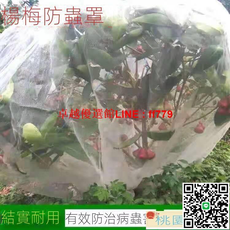 【卓越優選館】防鳥網 防蟲網 防蟲網罩楊梅網罩果樹櫻桃防風防鳥網罩多肉蓮霧桃樹大棚專用罩子
