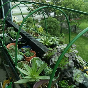 庭種菜拱形彎管 配防蟲網保溫膜溫室多肉遮陽大棚支柱10根