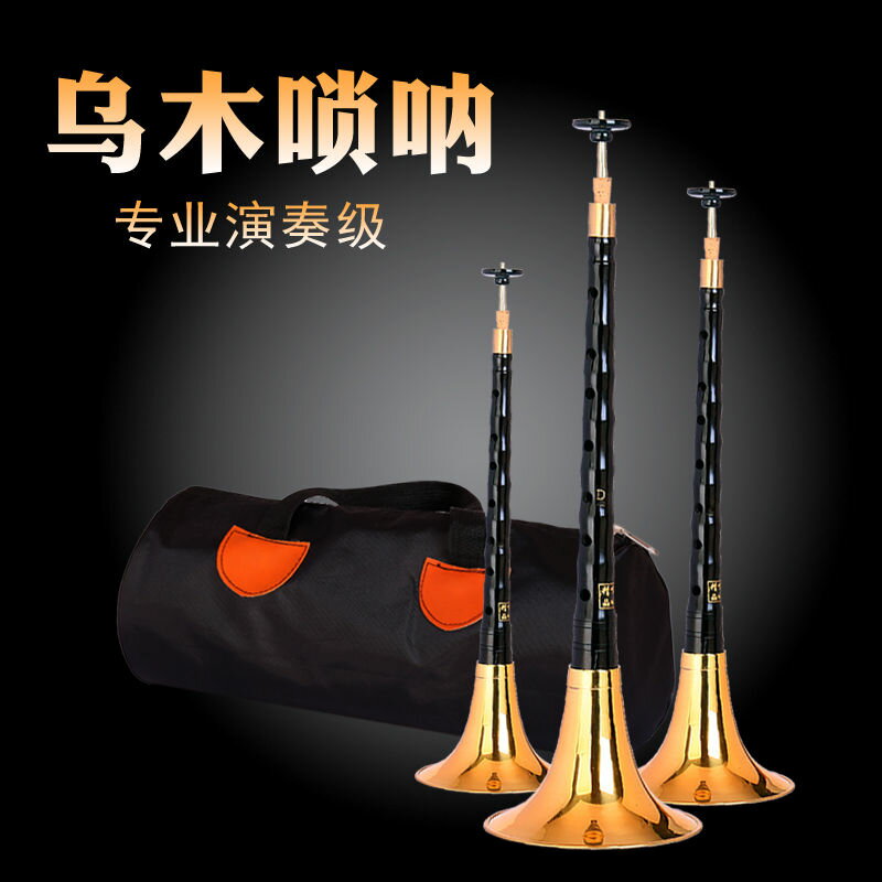 樂器嗩吶 精製黑檀木專業嗩吶樂器 全套d調DC降B調初學者入門成人大小號喇叭 全館免運