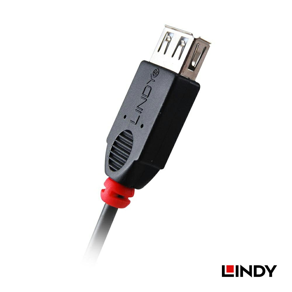 (現貨)Lindy林帝 31935 USB2.0 MicroB公 轉 A母 OTG傳輸線 0.5M 2