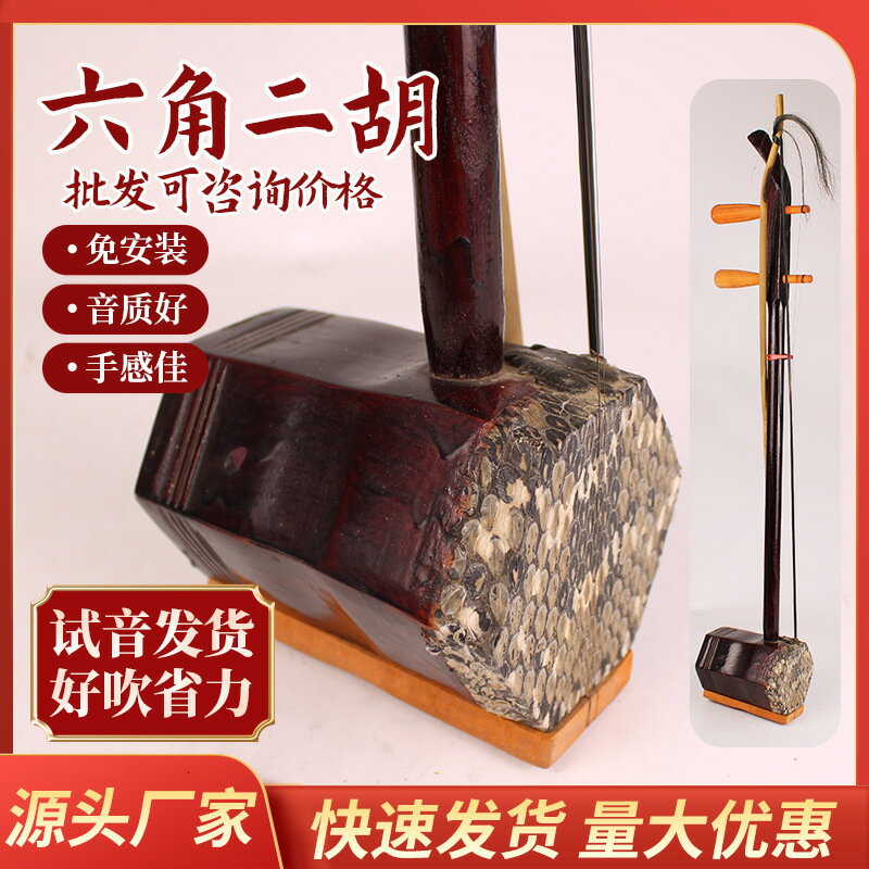學習二胡樂器小學生老人專用硬木二胡初學演奏錶演二胡民族樂器 鑫弘-戶外運動