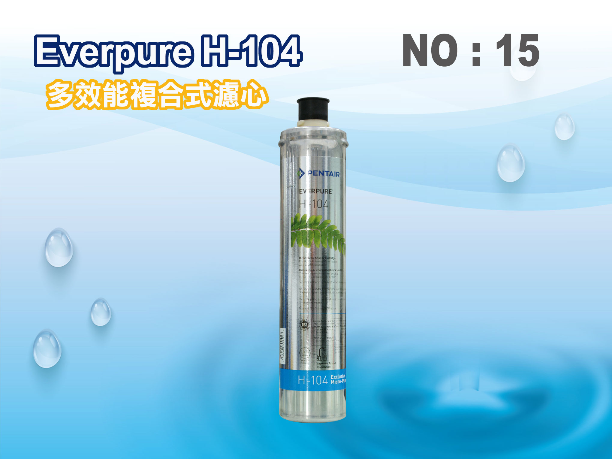 【龍門淨水】Everpure H104濾心.淨水器.濾水器.過濾器(貨號15)