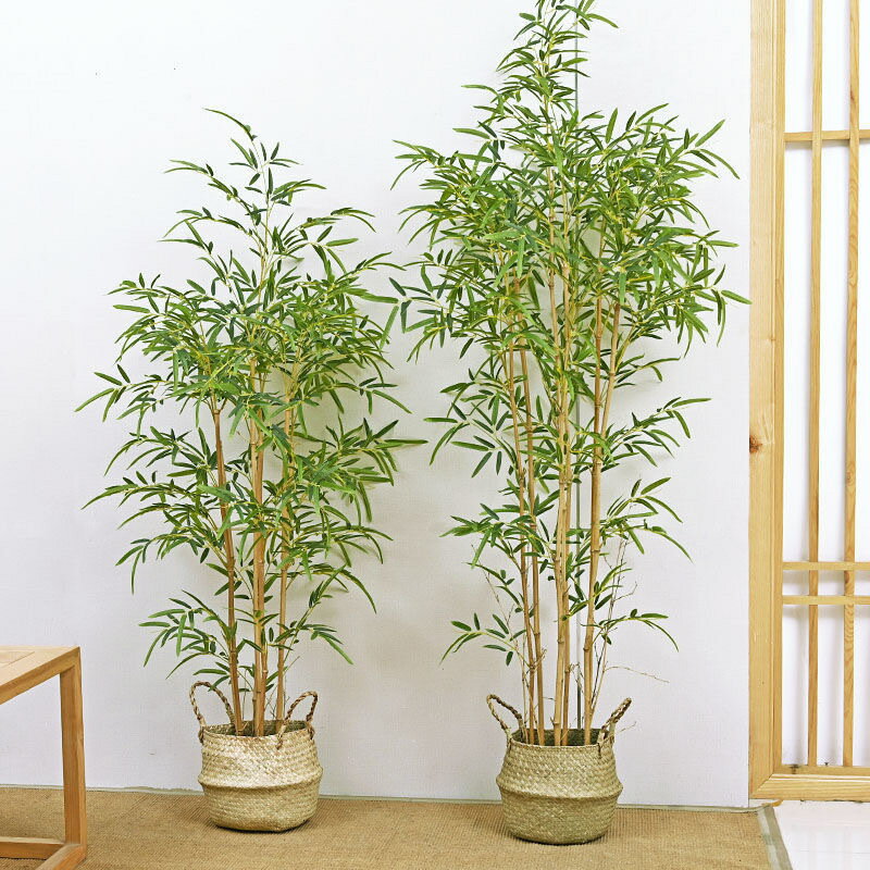 模擬綠植 發財樹 仿真植物 盆栽 盆景大型模擬竹子落地盆栽客廳新中式禪意假竹子隔斷擋墻現代景觀造景