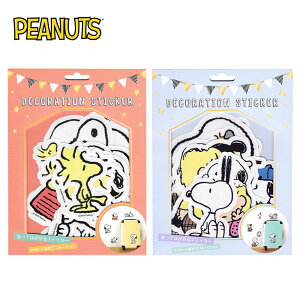 【日本正版】史努比 透明貼紙包 行李箱貼 手帳貼 裝飾貼紙 Snoopy PEANUTS