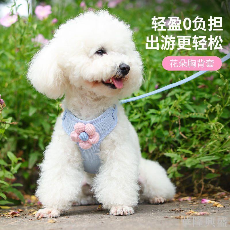 小狗狗牽引繩背心式小型幼犬泰迪比熊博美胸背帶狗鏈子外出遛狗繩