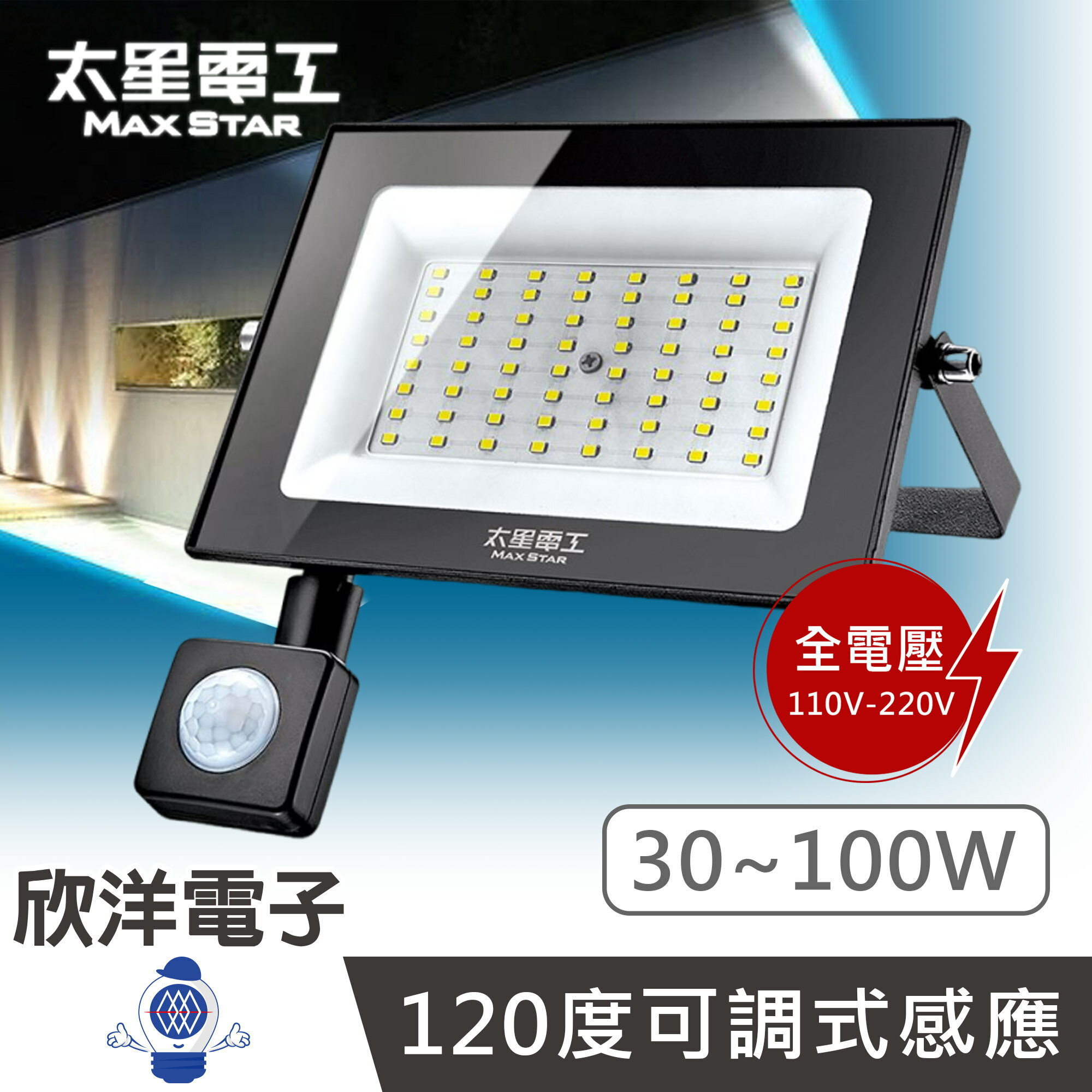 ※ 欣洋電子 ※ 太星電工 LED感應投射燈 30W~100W 全電壓 (WDC3030) (WDC3050) (WDC30100)｜戶外感應燈 插電感應燈 人體感應燈 花園感應燈 工業感應燈