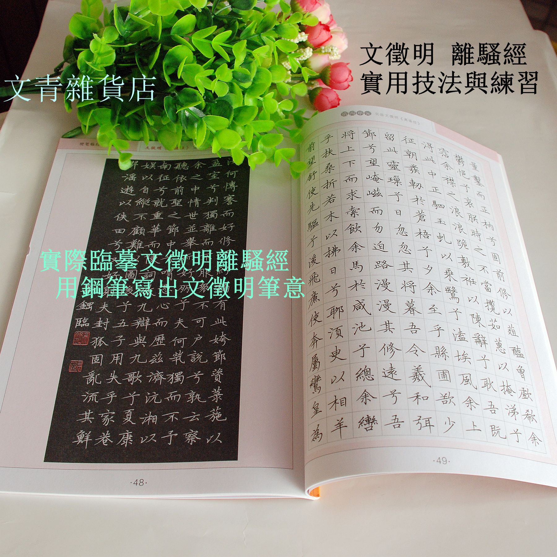 文青雜貨店硬筆書法新帖《文徵明 離騷經實用技法與練習》行楷鋼筆字全攻略！好好練讓您出手便是讚嘆~~勤練價199元 6